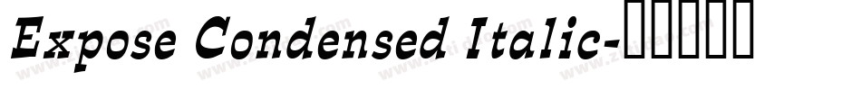 Expose Condensed Italic字体转换